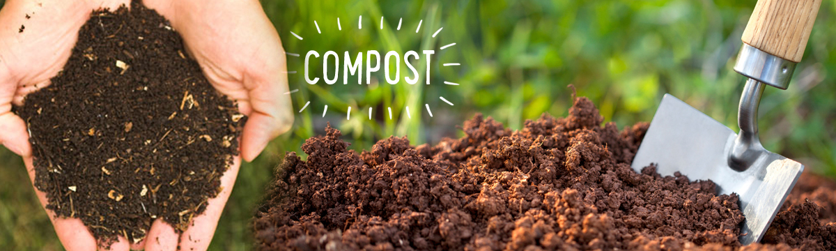 Compost Making