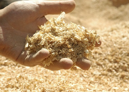 Sawdust as auxiliary material for composting poultry manure