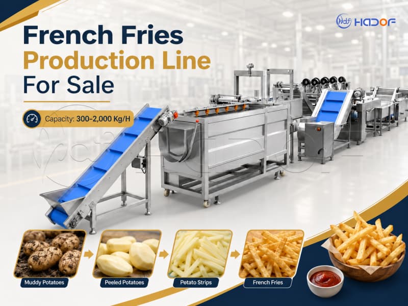 French Fries Production Line for Sale